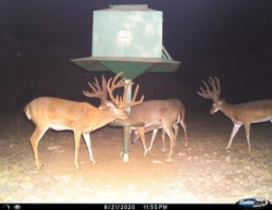 9_point___classiii