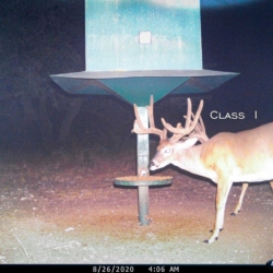 class1007