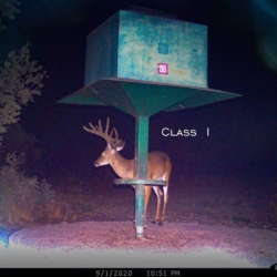 classi001