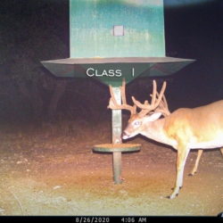classi12