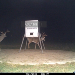 classi14