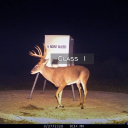 classi15