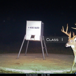 classi16