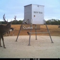 classi4