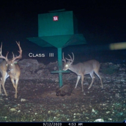 classiii003