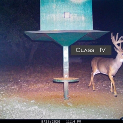 classiii009