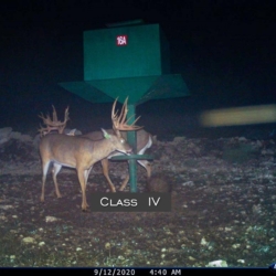 classiii011