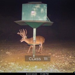 classiii11