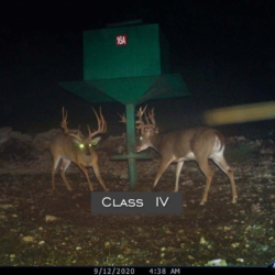 classiii14