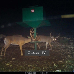 classiii18