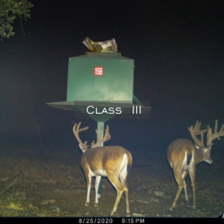 classiii19
