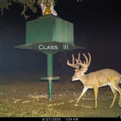 classiii20