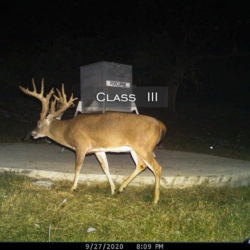 classiii24