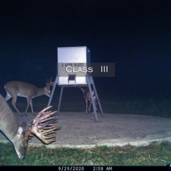 classiii25