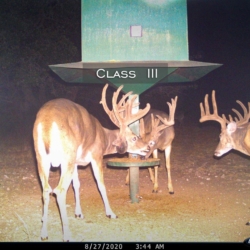 classiii28