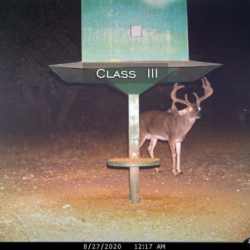 classiii29