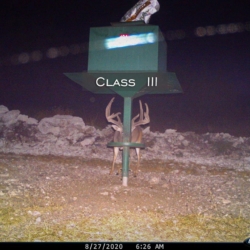 classiii3