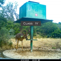 classiii34