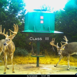 classiii35