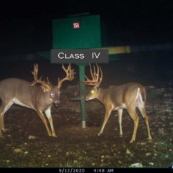 classiii37