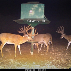 classiii40