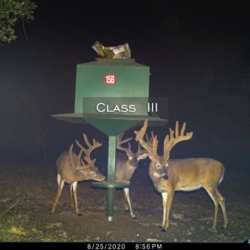 classiii42