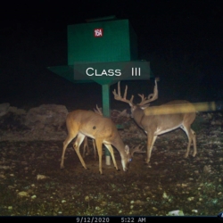 classiii9