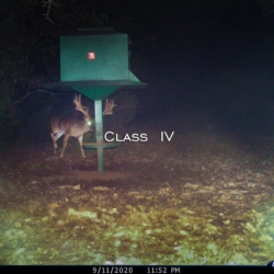 classiv13