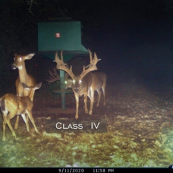 classiv14