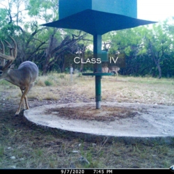 classiv16