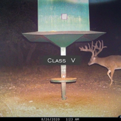 classiv18