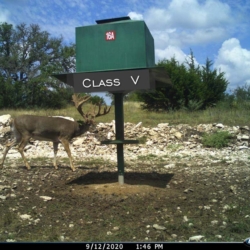classiv19