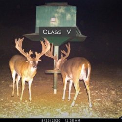 classiv23