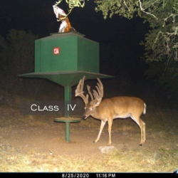 classiv27