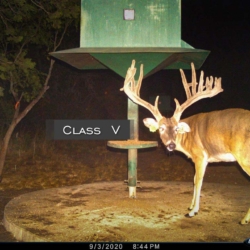 classiv32