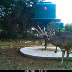 classiv34