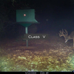 classiv35