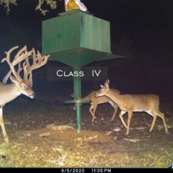classiv5