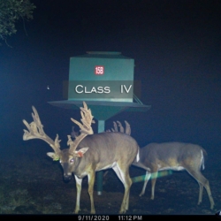 classiv6