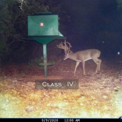 classiv7