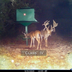 classiv8
