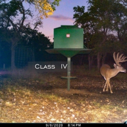 classiv9