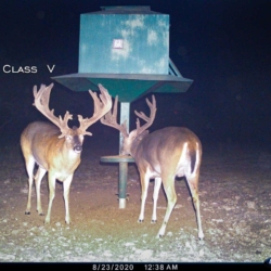 classv002