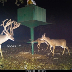 classv004
