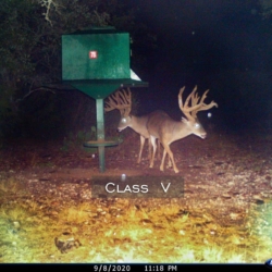 classvinback