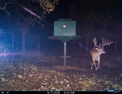signaturebuck001