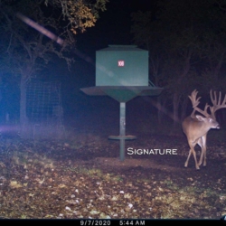 signaturebuck001