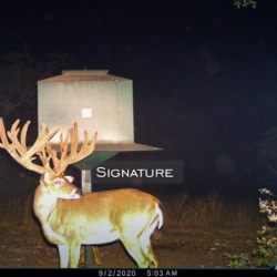 signaturebuck4