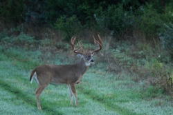 website_img_590720