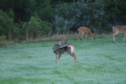 website_img_5930